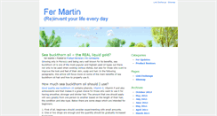 Desktop Screenshot of fer-martin.com